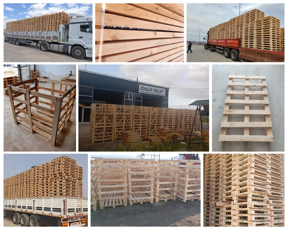 Bradpole Wooden Pallets, Buy Wooden Pallets Wholesale